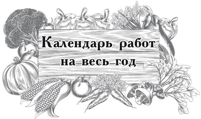 Большой урожай на маленьких грядках. Все секреты повышения урожайности Большой урожай на маленьких грядках. Все секреты повышения урожайности
