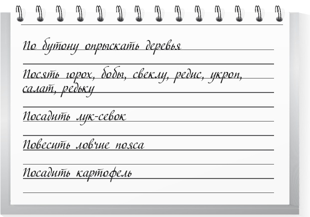 Большой урожай на маленьких грядках. Все секреты повышения урожайности Большой урожай на маленьких грядках. Все секреты повышения урожайности