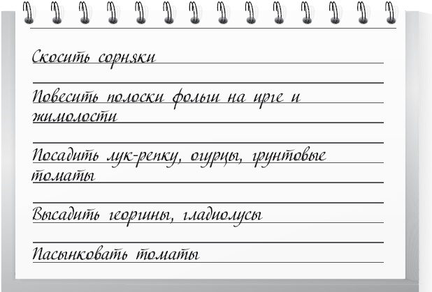Большой урожай на маленьких грядках. Все секреты повышения урожайности Большой урожай на маленьких грядках. Все секреты повышения урожайности