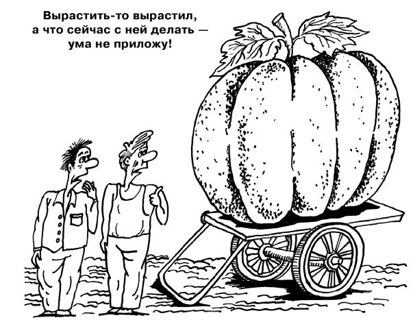 Большая книга огородника и садовода. Все секреты плодородия Большая книга огородника и садовода. Все секреты плодородия