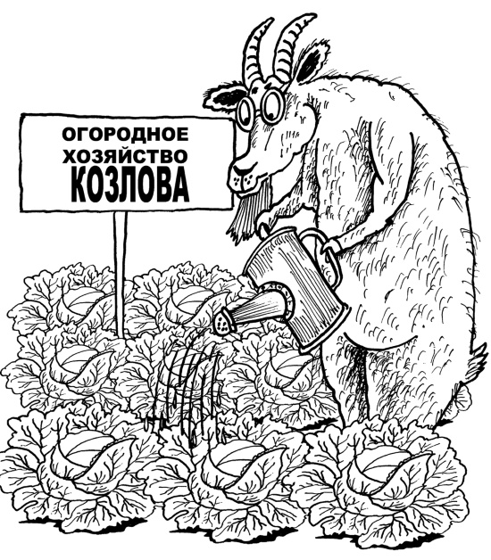 Большая книга огородника и садовода. Все секреты плодородия Большая книга огородника и садовода. Все секреты плодородия