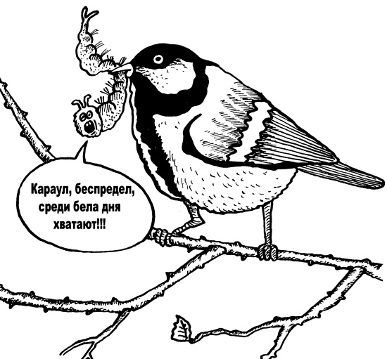 Большая книга огородника и садовода. Все секреты плодородия Большая книга огородника и садовода. Все секреты плодородия