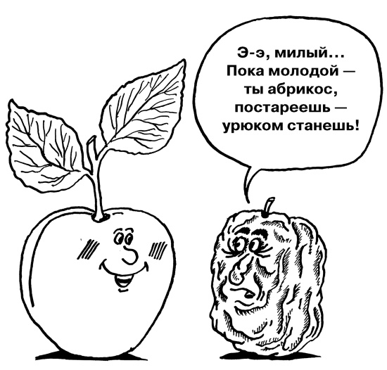 Большая книга огородника и садовода. Все секреты плодородия Большая книга огородника и садовода. Все секреты плодородия