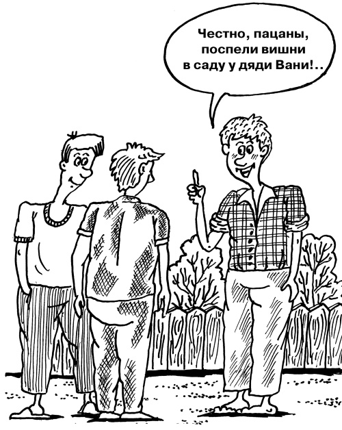 Большая книга огородника и садовода. Все секреты плодородия Большая книга огородника и садовода. Все секреты плодородия