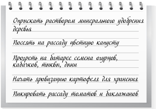 Сад и огород для тех, кому за… без лишних усилий Сад и огород для тех, кому за… без лишних усилий