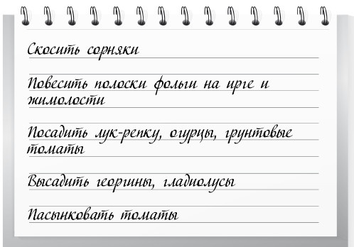 Сад и огород для тех, кому за… без лишних усилий Сад и огород для тех, кому за… без лишних усилий