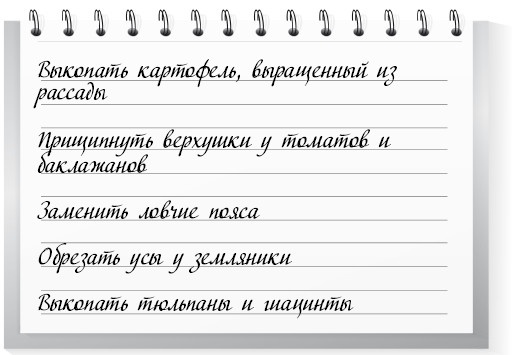 Сад и огород для тех, кому за… без лишних усилий Сад и огород для тех, кому за… без лишних усилий