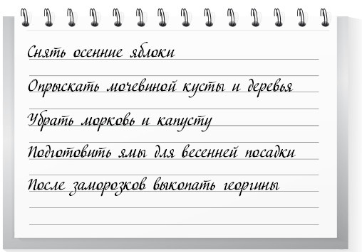 Сад и огород для тех, кому за… без лишних усилий Сад и огород для тех, кому за… без лишних усилий