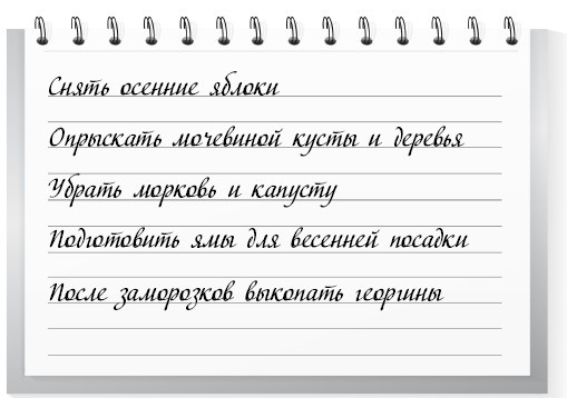Сад и огород для тех, кому за… без лишних усилий Сад и огород для тех, кому за… без лишних усилий