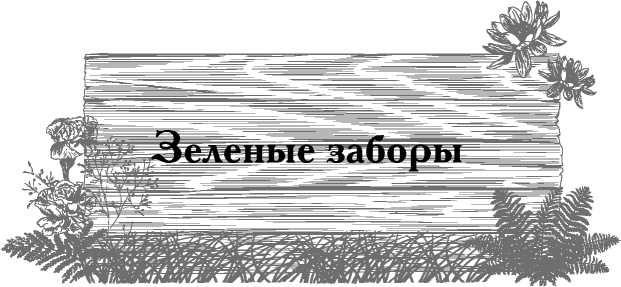 Сад и огород для тех, кому за… без лишних усилий Сад и огород для тех, кому за… без лишних усилий