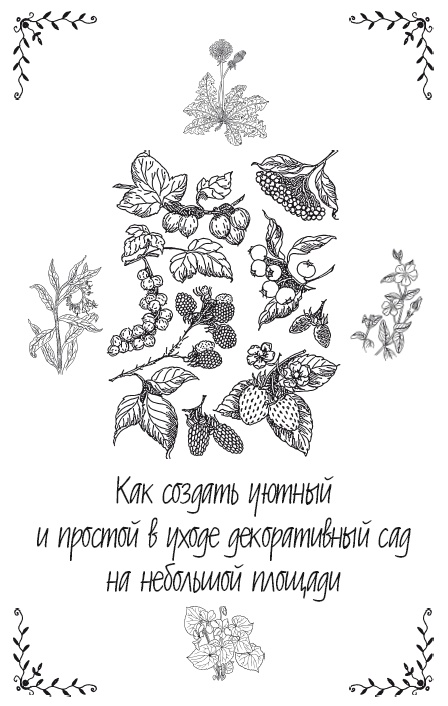 Урожай без хлопот. Сад, цветник и огород Урожай без хлопот. Сад, цветник и огород