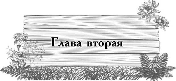 Цветник для ленивых. Цветы от последнего снега до первых морозов Цветник для ленивых. Цветы от последнего снега до первых морозов