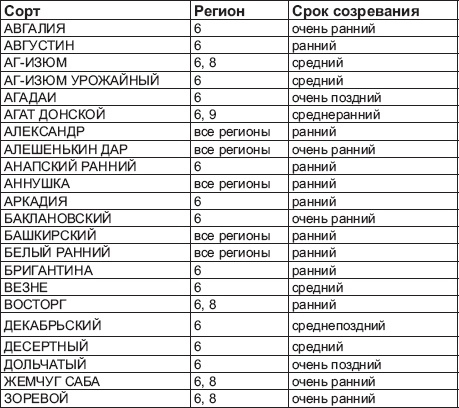 Виноград без труда Виноград без труда