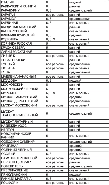 Виноград без труда Виноград без труда