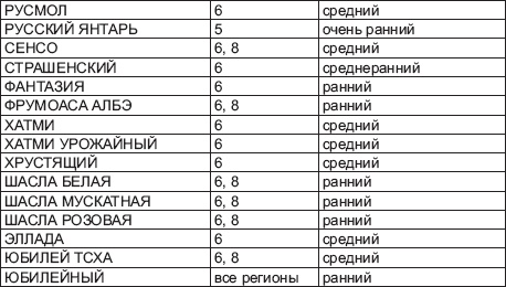 Виноград без труда Виноград без труда