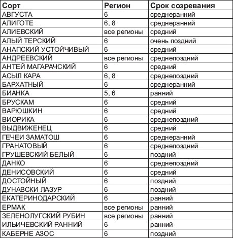 Виноград без труда Виноград без труда