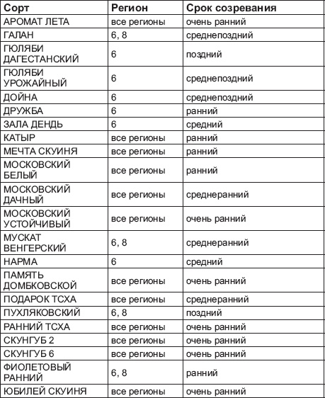 Виноград без труда Виноград без труда