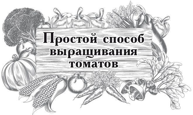 Огород по-русски. Мало сажаем, много собираем Огород по-русски. Мало сажаем, много собираем
