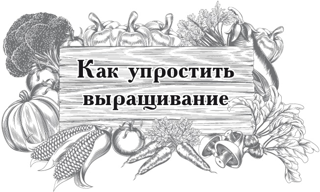 Огород по-русски. Мало сажаем, много собираем Огород по-русски. Мало сажаем, много собираем