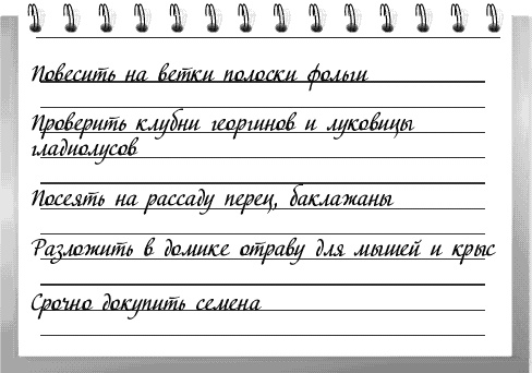Чудо-грядки: не копаем, а урожай собираем Чудо-грядки: не копаем, а урожай собираем