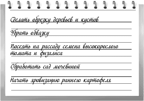 Чудо-грядки: не копаем, а урожай собираем Чудо-грядки: не копаем, а урожай собираем