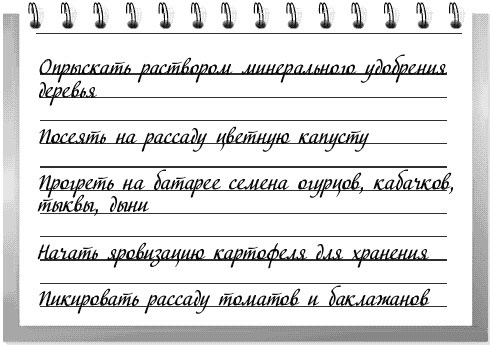 Чудо-грядки: не копаем, а урожай собираем Чудо-грядки: не копаем, а урожай собираем
