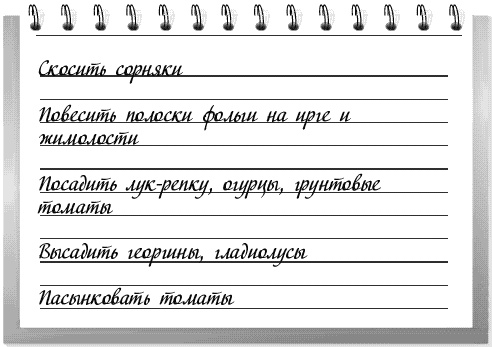 Чудо-грядки: не копаем, а урожай собираем Чудо-грядки: не копаем, а урожай собираем