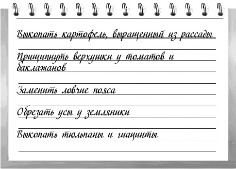 Чудо-грядки: не копаем, а урожай собираем Чудо-грядки: не копаем, а урожай собираем