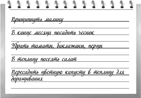 Чудо-грядки: не копаем, а урожай собираем Чудо-грядки: не копаем, а урожай собираем