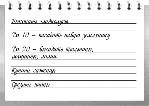 Чудо-грядки: не копаем, а урожай собираем Чудо-грядки: не копаем, а урожай собираем