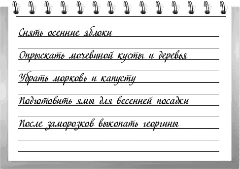Чудо-грядки: не копаем, а урожай собираем Чудо-грядки: не копаем, а урожай собираем