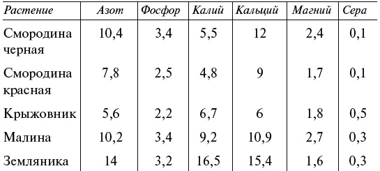 Чудо-грядки: не копаем, а урожай собираем Чудо-грядки: не копаем, а урожай собираем