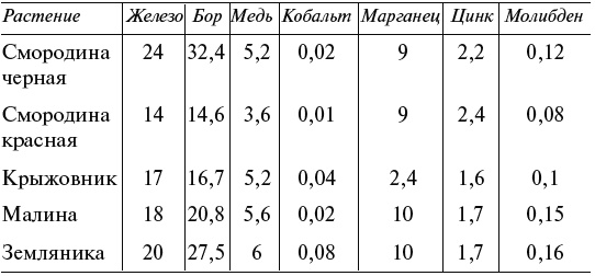 Чудо-грядки: не копаем, а урожай собираем Чудо-грядки: не копаем, а урожай собираем