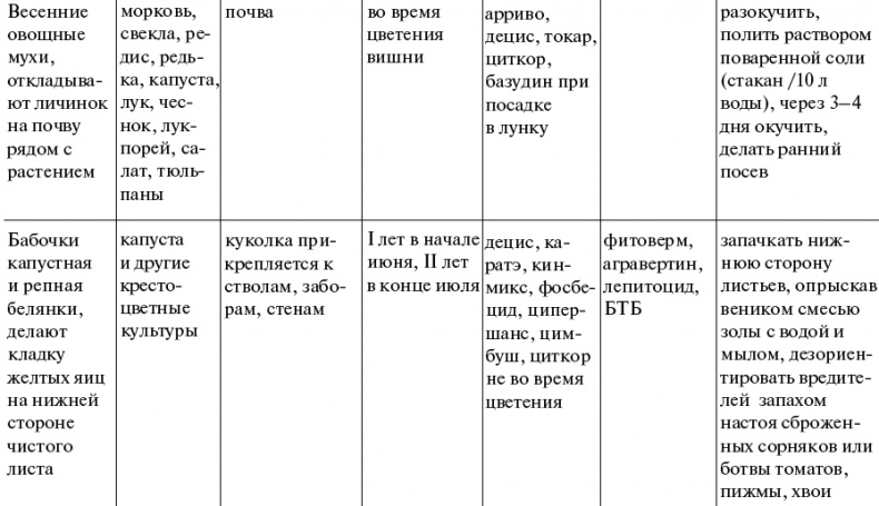 Чудо-грядки: не копаем, а урожай собираем Чудо-грядки: не копаем, а урожай собираем