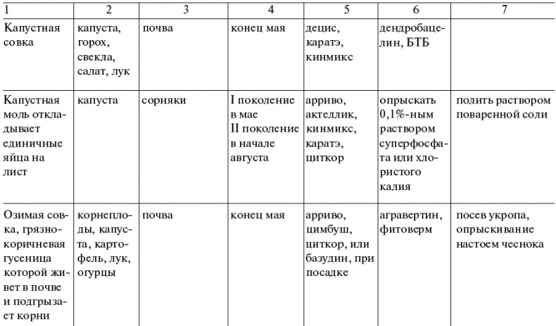 Чудо-грядки: не копаем, а урожай собираем Чудо-грядки: не копаем, а урожай собираем