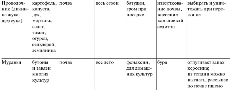 Чудо-грядки: не копаем, а урожай собираем Чудо-грядки: не копаем, а урожай собираем
