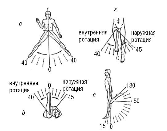Лечимся едой. Болезни суставов и позвоночника. 200 лучших рецептов