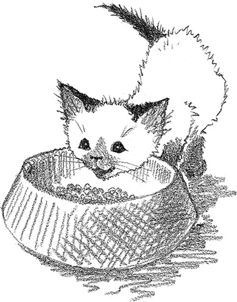 Котенок Фиалка, или Коробка с сюрпризом Котенок Фиалка, или Коробка с сюрпризом