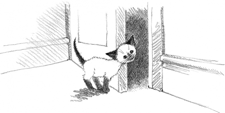 Котенок Фиалка, или Коробка с сюрпризом Котенок Фиалка, или Коробка с сюрпризом