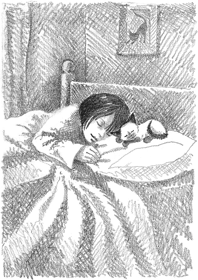 Котенок Фиалка, или Коробка с сюрпризом Котенок Фиалка, или Коробка с сюрпризом