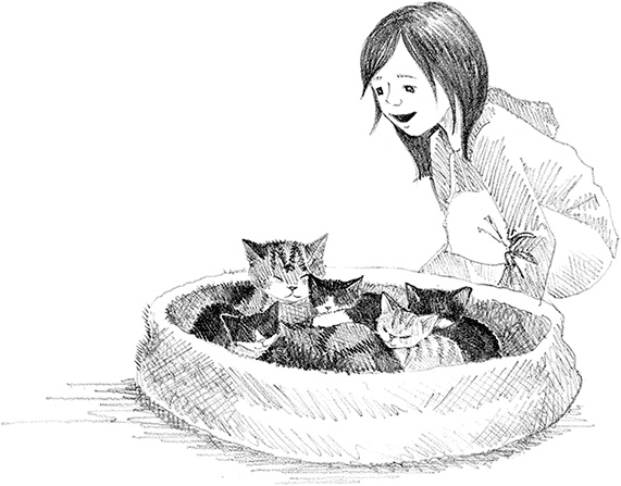 Котенок пират, или Ловкий коготь Котенок пират, или Ловкий коготь