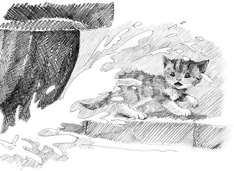 Котенок пират, или Ловкий коготь
