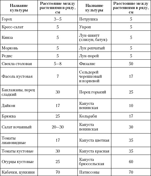 Большая энциклопедия дачника Большая энциклопедия дачника
