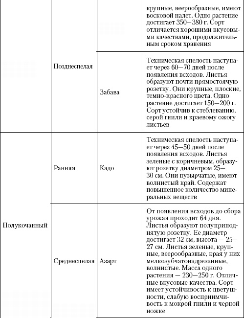 Большая энциклопедия дачника Большая энциклопедия дачника