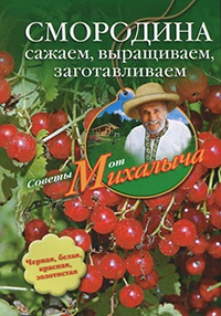 Смородина. Сажаем, выращиваем, заготавливаем - Николай Звонарев