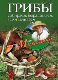 Грибы. Собираем, выращиваем, заготавливаем - Николай Звонарев