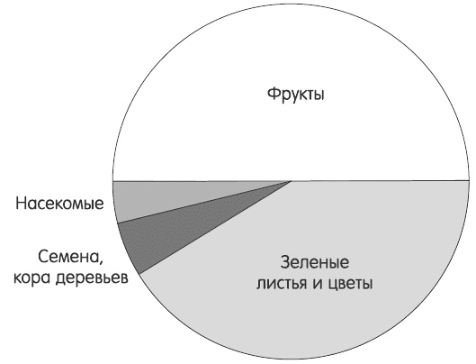 Зелень для жизни. Реальная история оздоровления Зелень для жизни. Реальная история оздоровления