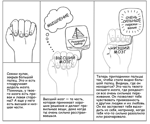 Дисциплина без драм. Как помочь ребенку воспитать характер Дисциплина без драм. Как помочь ребенку воспитать характер