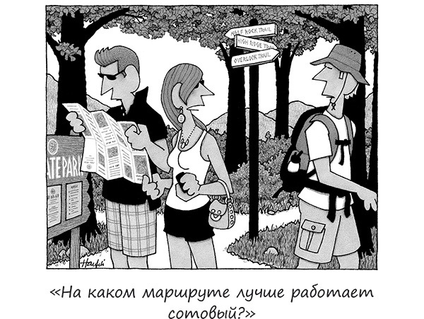 Исчезающие носки, новогодние обещания и еще 97 загадок бытия Исчезающие носки, новогодние обещания и еще 97 загадок бытия
