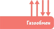Как устроен человек Как устроен человек